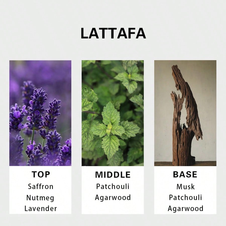 Lattafa Badee Al Oud For Glory – обзор и цена Fragrance And Perfume