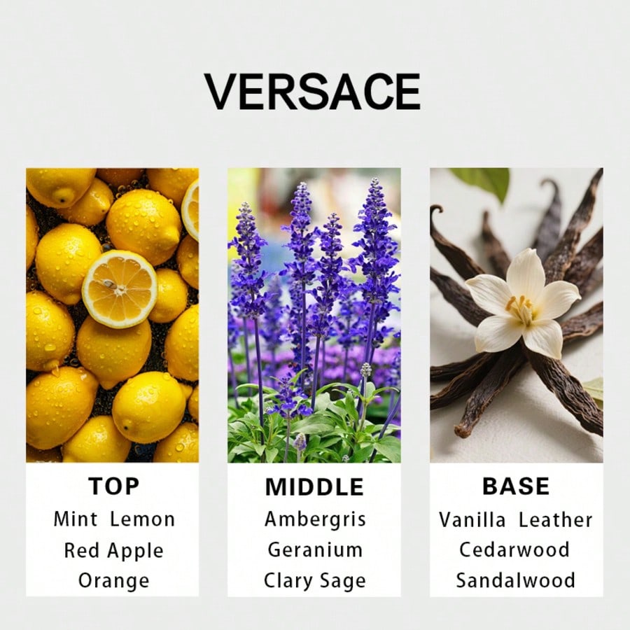 Versace Eros мужская парфюмерн – обзор и цена Fragrance And Perfume